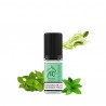 10x Menthe 10ML