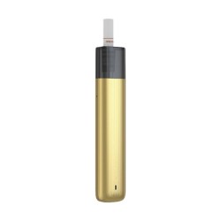 Kit Vilter 2 Pen - Gold